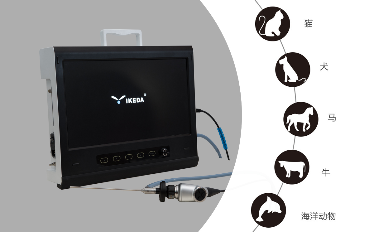 獸用內(nèi)窺鏡可以做什么？