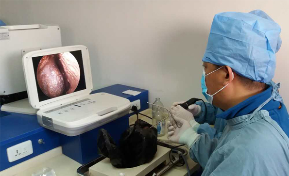 為什么越來(lái)越多的醫(yī)生選擇便攜式內(nèi)窺鏡？