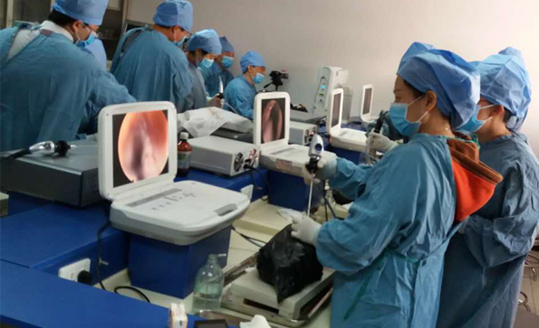 醫(yī)用內(nèi)窺鏡攝像機(jī)屬于幾類醫(yī)療器械？有什么作用？