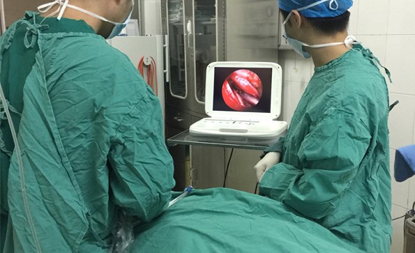 便攜式耳鼻喉內(nèi)窺鏡系統(tǒng)