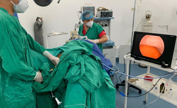 動物怎么做鼻內窺鏡檢查？